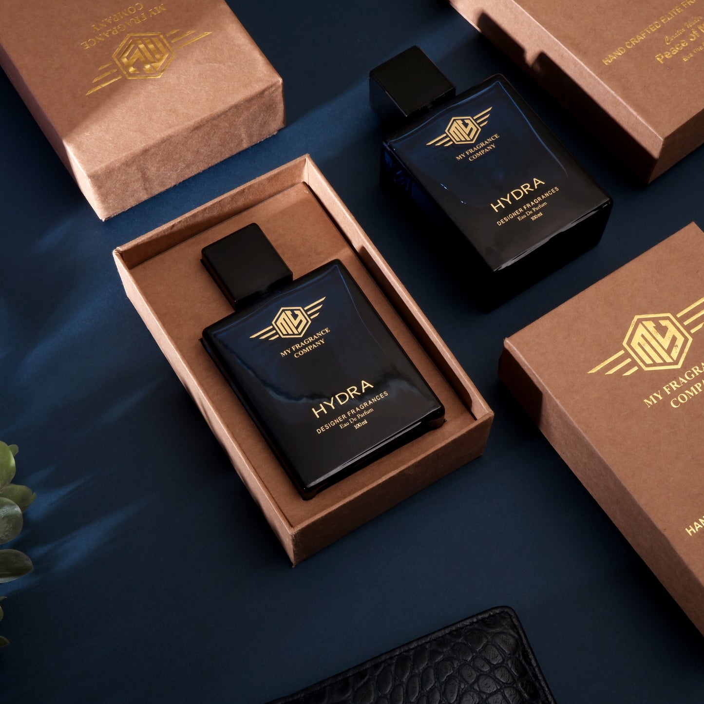 Handcrafted Elite HYDRA Fragrance EDP Perfume For Men - 100ml - MY FRAGRANCE COMPANY