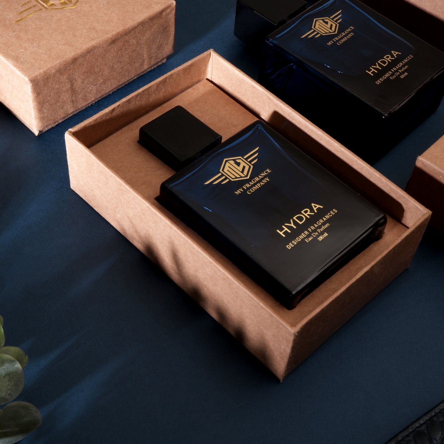 Handcrafted Elite HYDRA Fragrance EDP Perfume For Men - 100ml - MY FRAGRANCE COMPANY